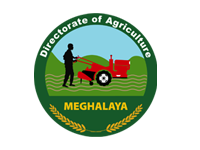 Meg Agriculture