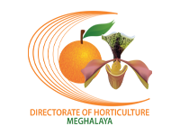 Horticulture logo
